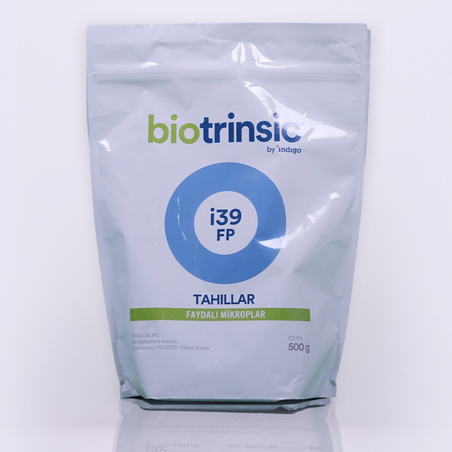 İNDİGO İ39FP 500GR