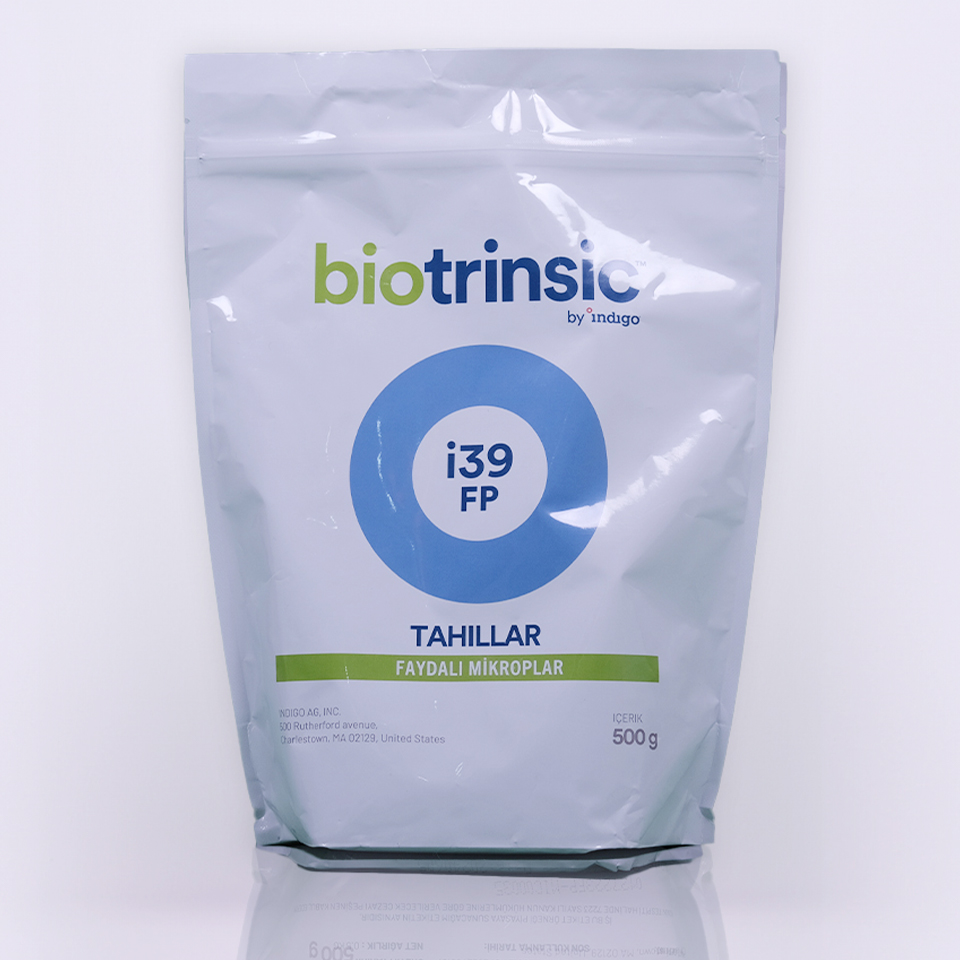 İNDİGO İ39FP 500GR